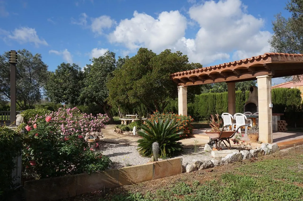 Casa Julia Apartment Llucmajor   Llucmajor (Mallorca)