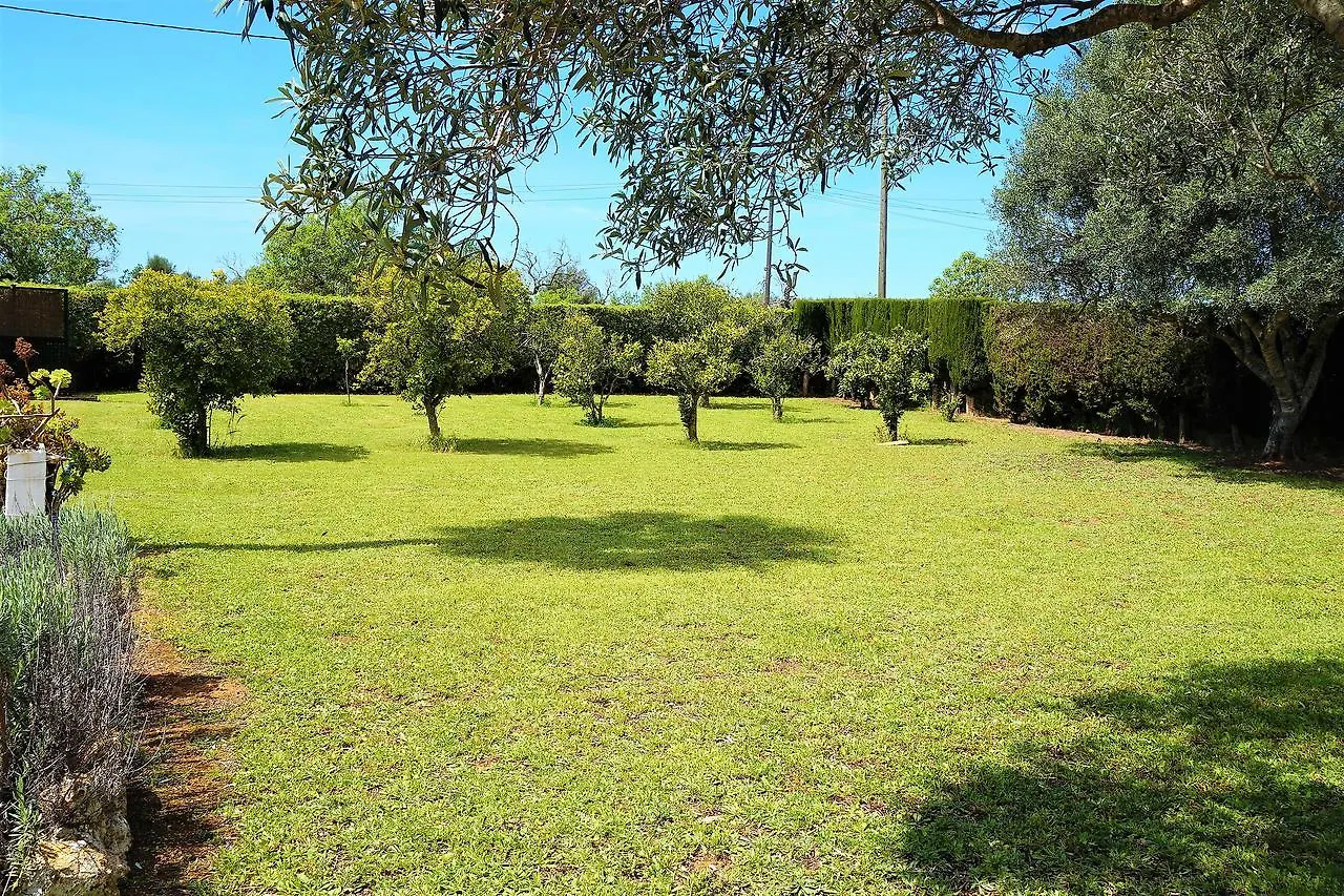 Casa Julia Apartment Llucmajor  0*, Llucmajor (Mallorca) Spain